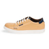 The Gold Standard beige low-top sneakers with a sleek, clean silhouette.